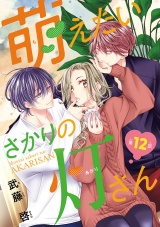 萌えたいさかりの灯さん(話売り)　#12 パッケージ画像
