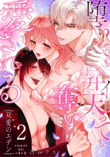 双愛のエデン〜堕ちても昇天（イ）っても奪い愛される〜(2) パッケージ画像