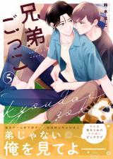 兄弟ごっこ 5話 パッケージ画像