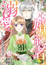 義妹にすべてを奪われたのに元婚約者（上司）が溺愛してきます。１２ パッケージ画像
