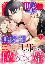 嘘から始まる、無愛想旦那さまと秘めごと婚 marriage.1《カノンミア》 パッケージ画像