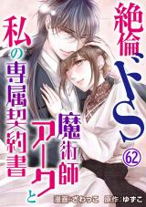 絶倫ドS魔術師アークと私の専属契約書62 パッケージ画像