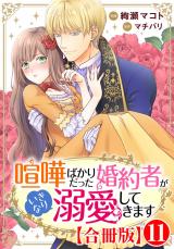 喧嘩ばかりだった婚約者がいきなり溺愛してきます【合冊版】11 パッケージ画像
