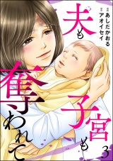 夫も子宮も奪われて （3） パッケージ画像