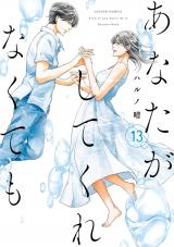 あなたがしてくれなくても（13巻） パッケージ画像