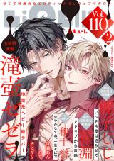 LiQulle（リキューレ）　VOL.110-2 パッケージ画像