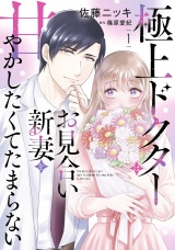 極上ドクターはお見合い新妻を甘やかしたくてたまらない 1 パッケージ画像