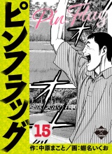 ピンフラッグ 15 パッケージ画像