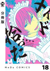 【分冊版】メイド拾った 18 パッケージ画像