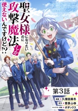【単話版】聖女様になりたいのに攻撃魔法しか使えないんですけど!? 第3話 パッケージ画像