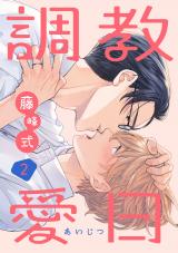 調教愛日　２ パッケージ画像