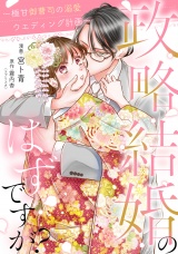 政略結婚のはずですが？ 〜極甘御曹司の溺愛ウエディング計画〜 12話 パッケージ画像