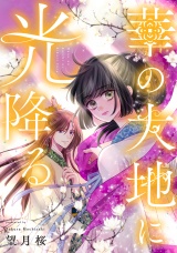 華の大地に光降る 9話 パッケージ画像