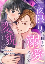 一夜限りのお相手が溺愛先生へと変貌しました１１ パッケージ画像