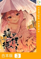 【合本版】狐が僕を待っている3巻 パッケージ画像