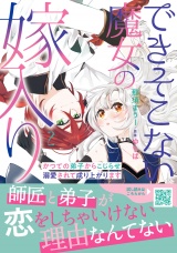 できそこない魔女の嫁入り〜かつての弟子からこじらせ溺愛されて成り上がります〜２ パッケージ画像