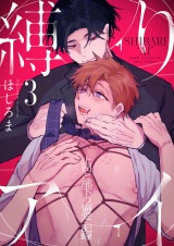 縛りアイ　-上司と部下の偏愛記録-(3) パッケージ画像
