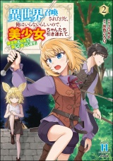 異世界召喚されたけど、俺はいらないらしいので、美少女ちゃんたち引き連れて、異世界と日本で楽しく過ごします。 （2） パッケージ画像