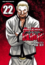 クローズ外伝　鳳仙花　the beginning of HOUSEN　22 パッケージ画像