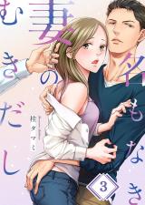 名もなき妻のむきだし3 パッケージ画像