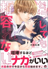 どうしても相容れない 【電子限定かきおろし漫画付】 パッケージ画像