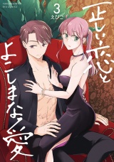 正しい恋とよこしまな愛（３）【電子限定特典ペーパー付き】 パッケージ画像