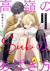 高嶺のSubのあばき方～君の心をとかすコマンド～1 パッケージ画像