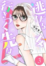 逃げる女の行きつく先は（3巻） パッケージ画像