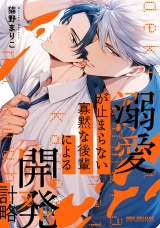 溺愛が止まらない寡黙な後輩による開発計略【電子限定かきおろし付】 パッケージ画像