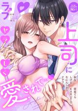 ラブパルフェ（LoveParfait） VOL.86-3 パッケージ画像