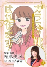 【分冊版】ガラスの靴、はかせます！ 〜成婚率80％の結婚相談所〜 【第3話】 パッケージ画像