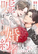 嘘からはじまる婚約者〜君と甘いロマンスをしよう〜【単行本版／描き下ろし特典付き】(3) パッケージ画像