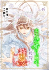 白い結婚から三年。旦那様、私と離縁してください(話売り)　#14 パッケージ画像