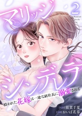 マリッジシンデレラ拾われた花嫁は一途な副社長に溺愛される2巻 パッケージ画像