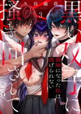 黒い双子に掻き回されて～義妹になった私は逃げられない3 パッケージ画像