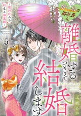 推し似の副社長と離婚するつもりで結婚します〜塩対応から始まる溺愛婚〜（５） パッケージ画像