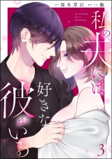 私の夫には好きな彼がいる （3） パッケージ画像