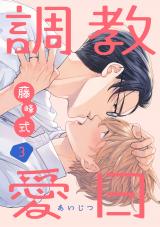 調教愛日　３ パッケージ画像