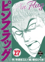 ピンフラッグ 17 パッケージ画像
