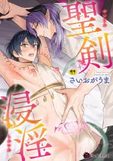 聖剣浸淫 パッケージ画像