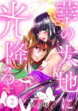 【単行本】華の大地に光降る 2 パッケージ画像