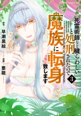 「死霊術師など穢らわしい」と処刑されたので、魔族に転身致します (3) パッケージ画像