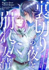 裏切りの夜と崩れた友情〜婚約破棄から始まる第二の人生(7) パッケージ画像