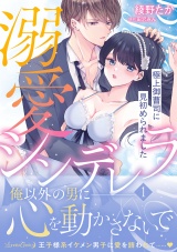 溺愛シンデレラ 極上御曹司に見初められました 1 パッケージ画像