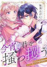 今宵、君を掻っ攫う～孤独な少女は、王子に抱かれて愛を知る2 パッケージ画像