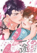 抱いて終わりにするわけない！【単行本版】【電子限定描き下ろし漫画付き】 パッケージ画像