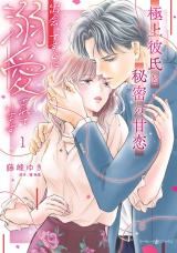 極上彼氏と秘密の甘恋〜出会ってすぐに溺愛されています〜 1 パッケージ画像