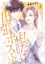 【単行本版】私だけの出張ホストくん〜本気のご奉仕エッチでイかされました〜（3） パッケージ画像