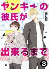 ヤンキーの彼氏が出来るまで 第3話 パッケージ画像