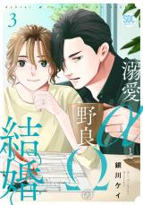 溺愛αと野良Ωの結婚【単行本版】【電子書店特典付き】3 パッケージ画像